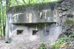MO-S 9 V bažantnici