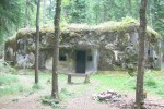 R-S 65 Modřín
